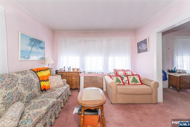 carpeted living room with a wealth of natural light