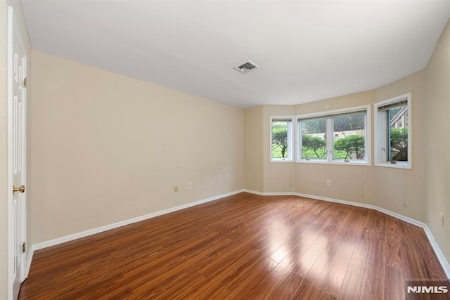 unfurnished room featuring a wealth of natural light and wood-type flooring