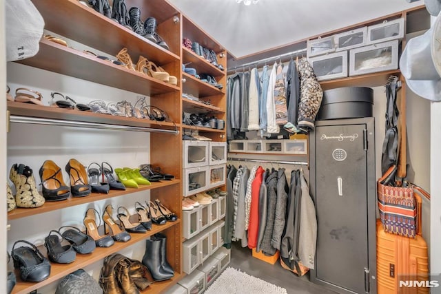 view of walk in closet