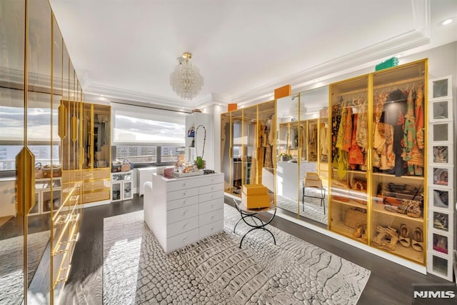 spacious closet featuring dark hardwood / wood-style floors