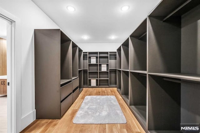 spacious closet featuring wood-type flooring