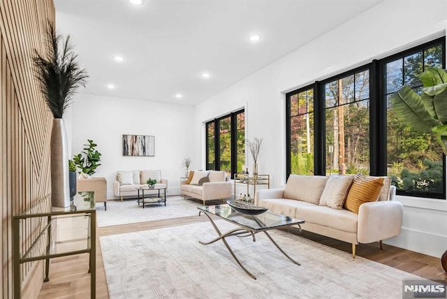 living room featuring light wood-type flooring