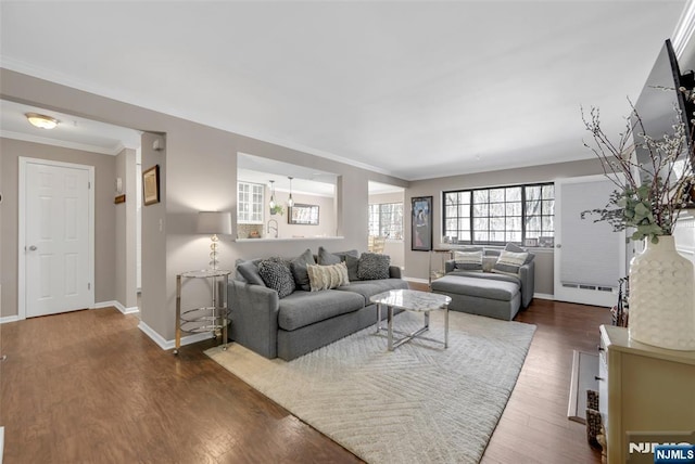 living room featuring ornamental molding and dark wood-type flooring