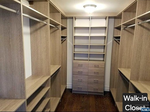 spacious closet featuring dark wood-style floors