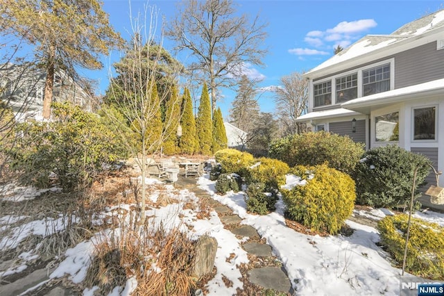 view of yard covered in snow