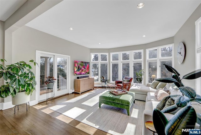 living room with light hardwood / wood-style flooring