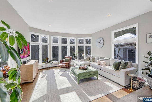 living room with light hardwood / wood-style flooring