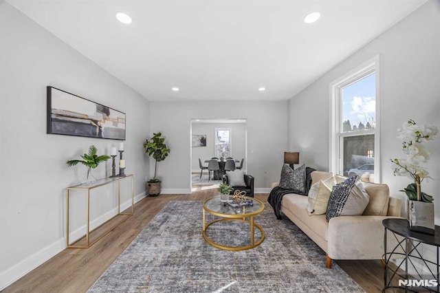 living room featuring hardwood / wood-style floors and a wealth of natural light