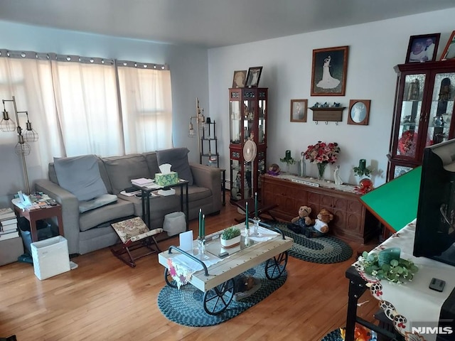 living room featuring hardwood / wood-style floors