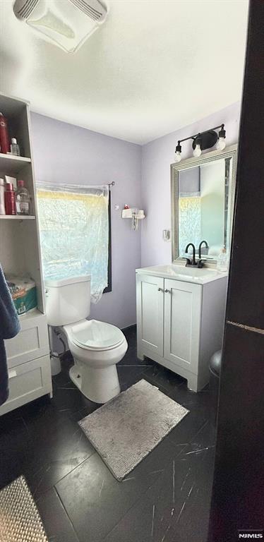 bathroom with vanity and toilet