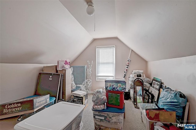 bonus room with lofted ceiling and carpet flooring