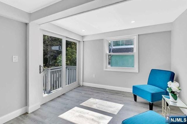 living area featuring a healthy amount of sunlight and light wood-type flooring