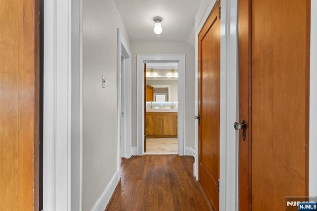 corridor featuring dark hardwood / wood-style floors and sink