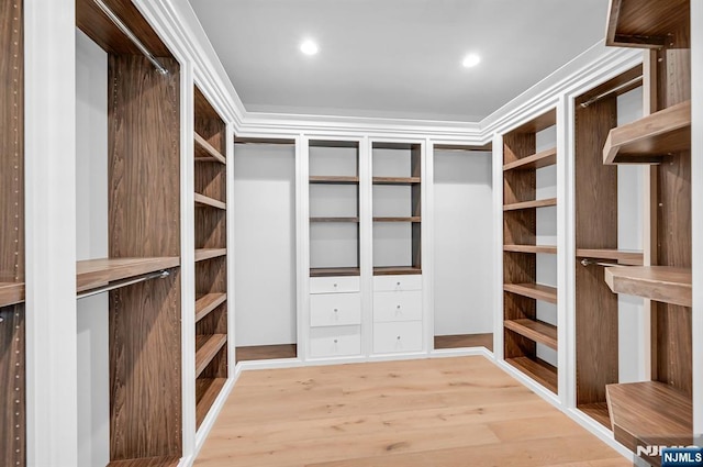 spacious closet featuring wood-type flooring