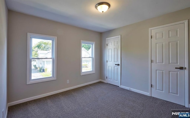 carpeted spare room with a wealth of natural light