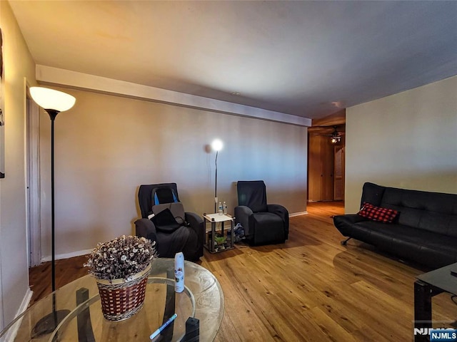 living room featuring light hardwood / wood-style floors