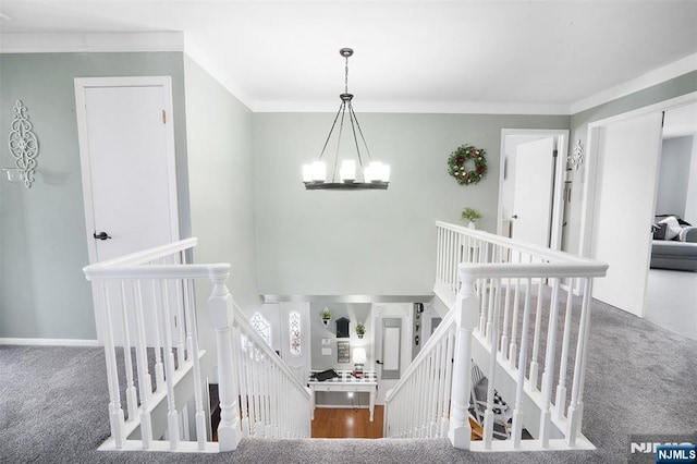 stairway featuring a notable chandelier, carpet floors, and ornamental molding