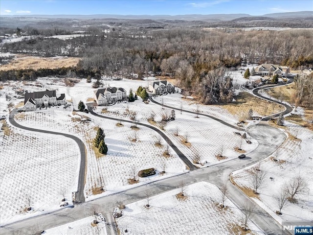 view of snowy aerial view