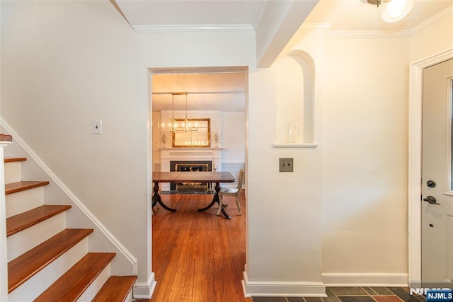 hall featuring hardwood / wood-style flooring and ornamental molding