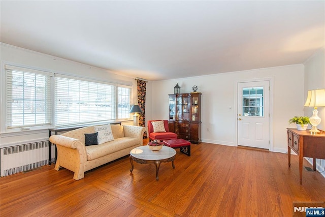 living room with hardwood / wood-style flooring and radiator heating unit