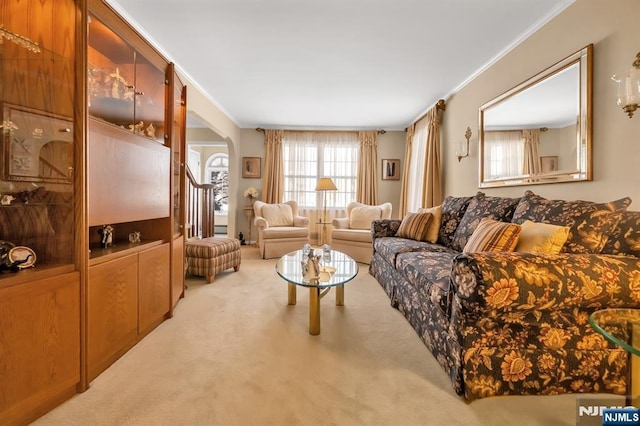 living room featuring ornamental molding and light colored carpet