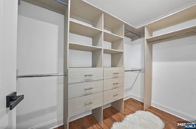 walk in closet with dark hardwood / wood-style flooring