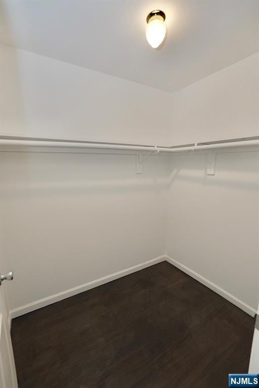 spacious closet with dark hardwood / wood-style flooring