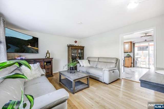 living room featuring light hardwood / wood-style flooring