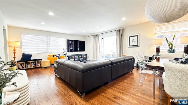 living room with wood-type flooring