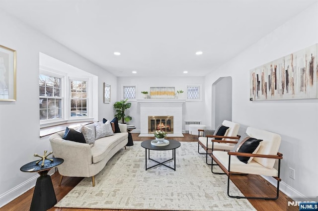 living room featuring hardwood / wood-style flooring