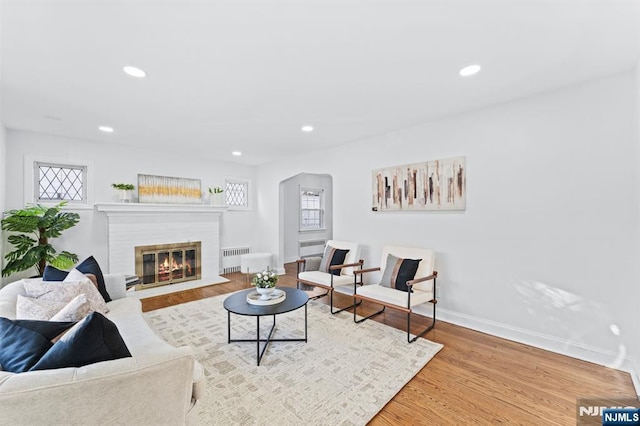 living room featuring a healthy amount of sunlight, hardwood / wood-style floors, radiator, and a fireplace