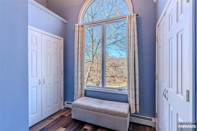 entryway featuring a baseboard radiator and dark wood-type flooring