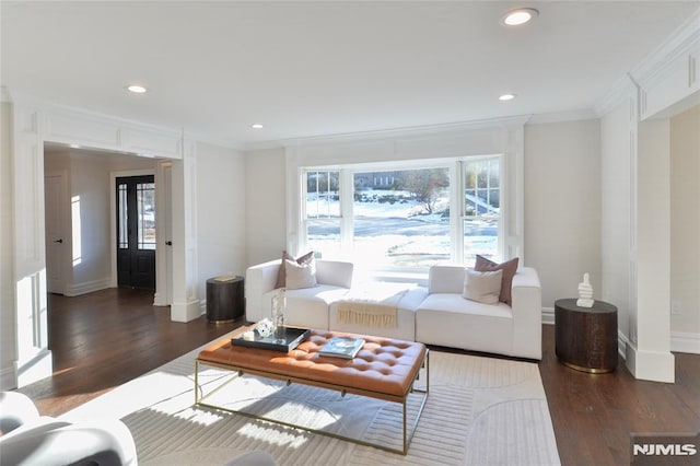 living room featuring crown molding and dark hardwood / wood-style floors