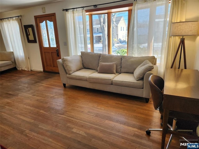 living room featuring dark hardwood / wood-style floors and a wealth of natural light