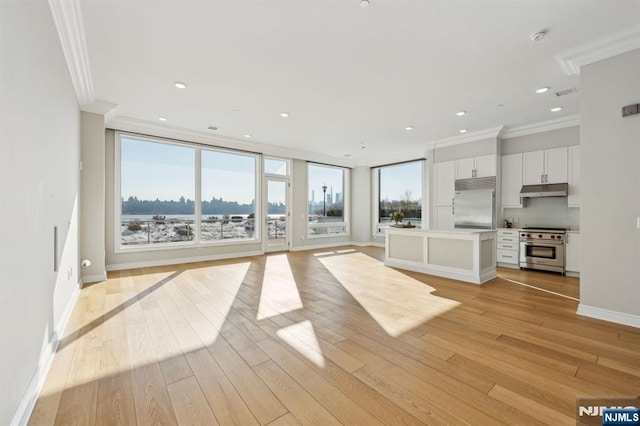 unfurnished living room featuring ornamental molding and light hardwood / wood-style floors