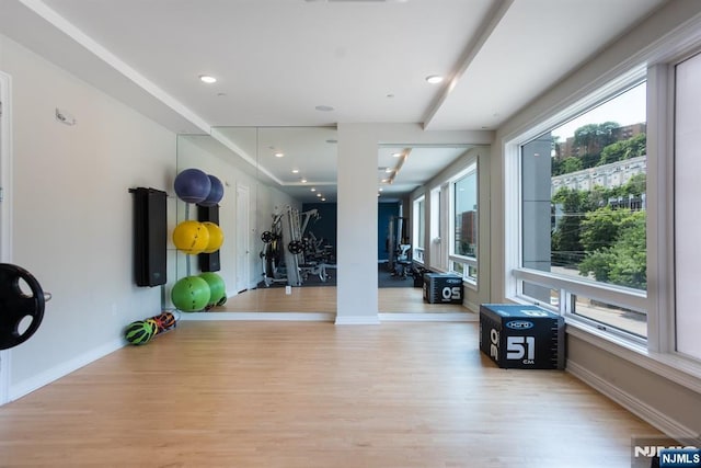 exercise room with light hardwood / wood-style flooring