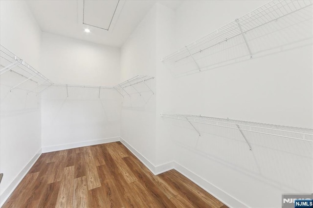 walk in closet featuring hardwood / wood-style floors