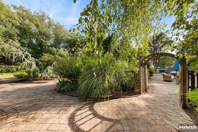 view of community with a patio area