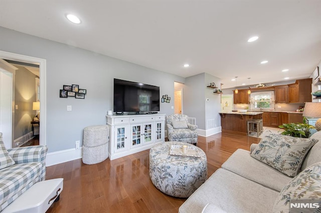 living room featuring wood-type flooring