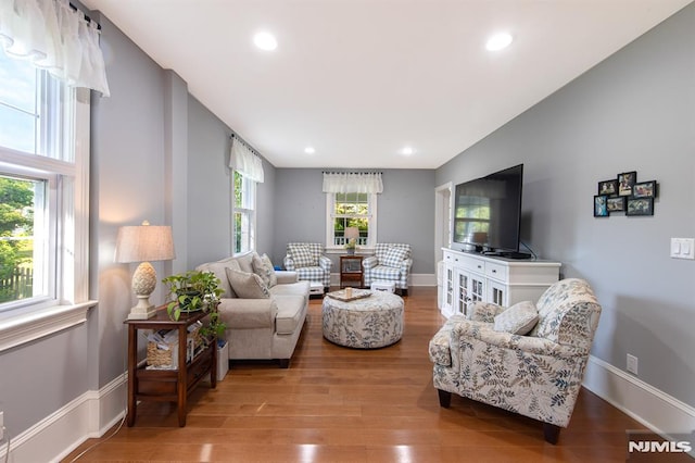 living room with wood-type flooring