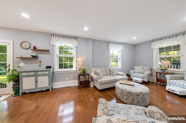 living room with hardwood / wood-style flooring