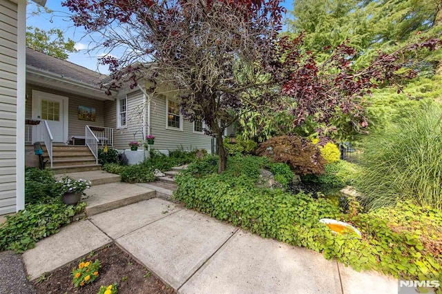 property entrance featuring covered porch and a patio