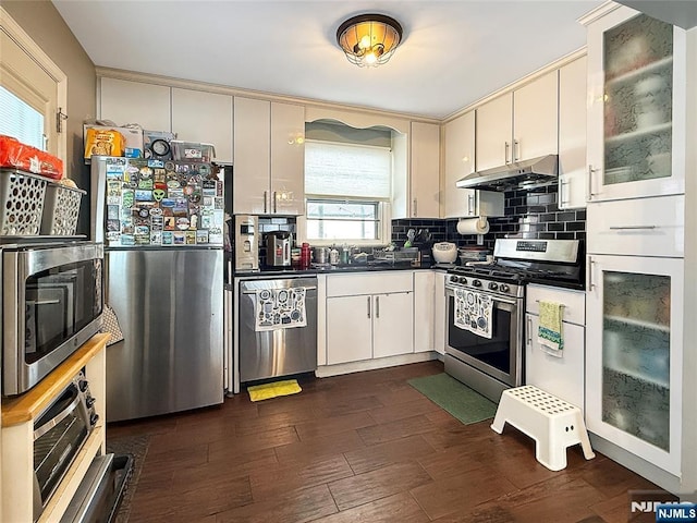 kitchen with tasteful backsplash, appliances with stainless steel finishes, dark hardwood / wood-style floors, and sink