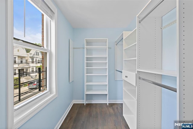 walk in closet featuring dark wood-type flooring