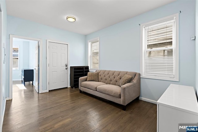 living area with dark hardwood / wood-style flooring