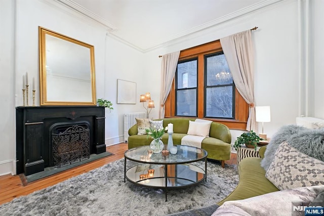 living room featuring hardwood / wood-style floors, crown molding, and radiator heating unit