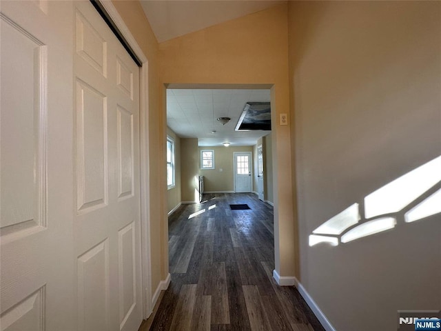 hall with dark wood-type flooring