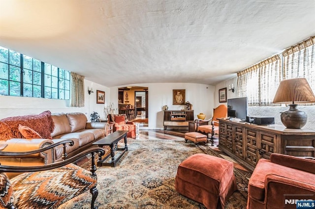 living room featuring wood-type flooring