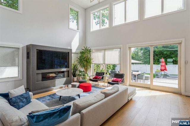 living room featuring hardwood / wood-style floors, a towering ceiling, and a healthy amount of sunlight