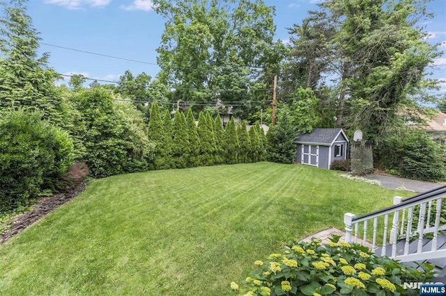 view of yard with a shed